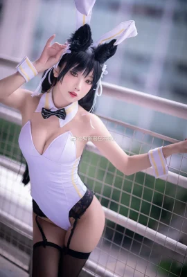 Azur Lane Atago Dog@鬼肖瑶瑶在不了w (10 photos)