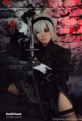 (Azukichwan) YoRHa No.2 Type B dans les variantes