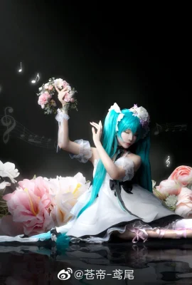 Hatsune Miku@青帝-iris(10 photos)