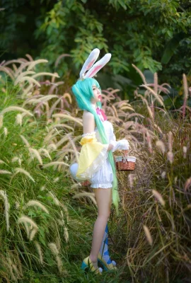 « VOCALOID » Hatsune Miku Cosplay[CN: A_Tsukihime](9 photos)