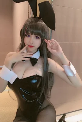 Le jeune garçon à tête de cochon ne rêvera pas de la sœur aînée de Bunny Girl, Sakurajima Mai Bunny Girl @miko chan ww (11 photos)