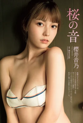 (Sakurai Otono) « Les seins blancs et tendres d'une fille aux gros seins » débordent d'un parfum laiteux (11 Photos)