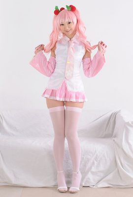 Necoco-Sakura Miku