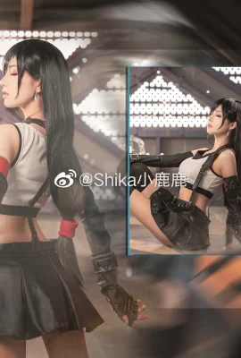 Final Fantasy 7 Tifa Lockhart @Shika小鹿鹿(9 photos)