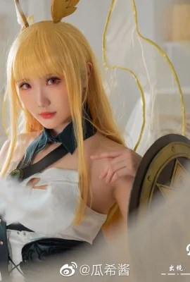 FGO Valkyrie Slud@guaxijiang (9 photos)