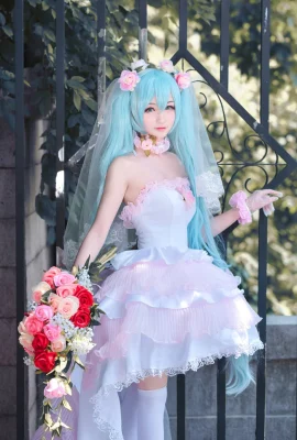 Hatsune Miku Hatsune Miku fan Hanayome cn: Sakura-Sakura (8 photos)