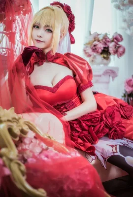 Fate/Extra Nero Claudius Rose Dress.ver cn : Gros rouleaux et petits rouleaux (12 photos)