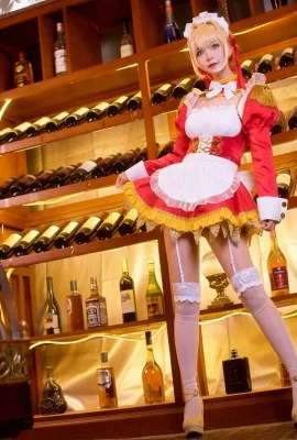 Destin/Grand Ordre Nero Claudius Fan Maid@_ Tanuki_ (10 photos)