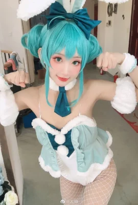 Hatsune Miku miku lapin fille @ vous vous (9 photos)