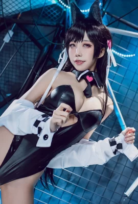 La lapine de course dans « Bridge Lane-Atago 3 » de Shui Miao Aqua attire votre attention (40 photos)