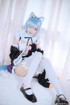 Re: La vie dans un monde différent de Zero Rem Cat Ears @Green Eggplant Nasu (9 photos)