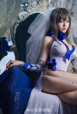 « Azur Lane » Cosplay Holy Knight dans les costumes de Louis IX[CN: Cangji Platycodon](16 photos)