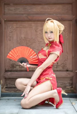 Destin/Grand Ordre Nero Claudius Cheongsam@Nasubi aubergine verte (9 photos)