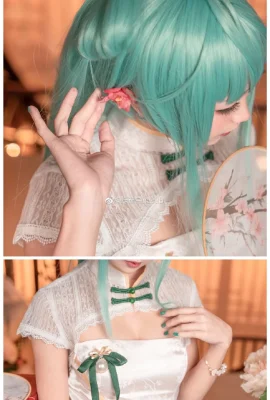 Hatsune Miku Shaohua @ Nasubi aubergine verte (9 photos)