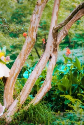 Cardcaptor Sakuragi no Honsakura@木之本如 (9 photos)