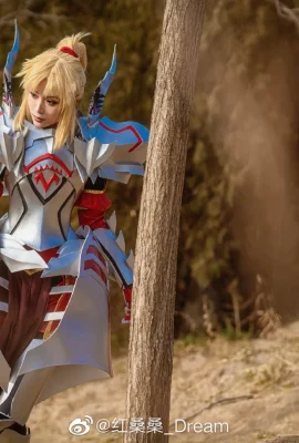 Fate/Grand Order Mordred@红 sang sang_Dream (9 photos)