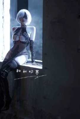 Nier Automata 2b fan cheongsam cos cn Qiu et Corgi (9 photos)