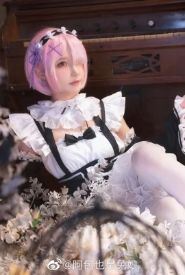 Re : La vie dans un monde différent à partir de zéro Ram @Abao est aussi une fille lapin (9 photos)