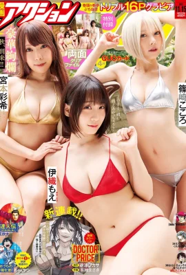 (Iori Yuki, Shinozaki Yuki, Miyamoto Ayuki) Silhouette courbée : sur le point d’exploser (18 Photos)