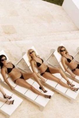 Des filles chaudes en bikini se déshabillent et se baisent (18 photos)