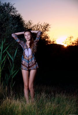 Coucher de soleil Elle Tan (87 photos)