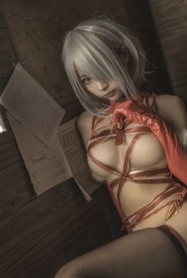 Stupide Momo Cosplay 2B Noël