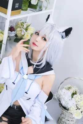 Chat noir OvO Shirakami Fubuki (18 photos)