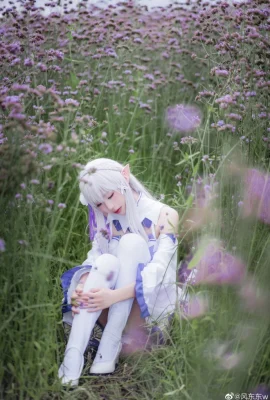 Re : La vie dans un monde différent de Zero Emilia Battle Suit @风东东w (10 photos)