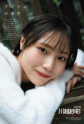 (Sasai Kawagoe) Rond et dodu… le groove profond et chaud vous fait étouffer rien qu’en le regardant (8 Photos)