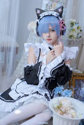 (Poisson de chat de poisson) REM Rem