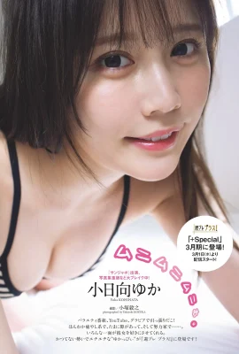(Kohinata Yuki) La silhouette rebondie est « parfumée et ronde » et est super délicieuse ! C’est juste ce qu’il faut (13 photos)