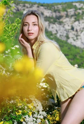 Amaly – pièces (119 photos)