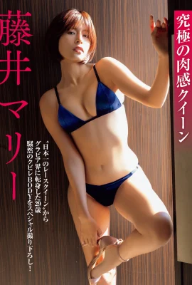 (Fujii Mari) La fille aux beaux seins et à la bonne silhouette contrôle le mot de passe du trafic (14 Photos)