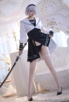 Chat fou ss – fan de 2B
