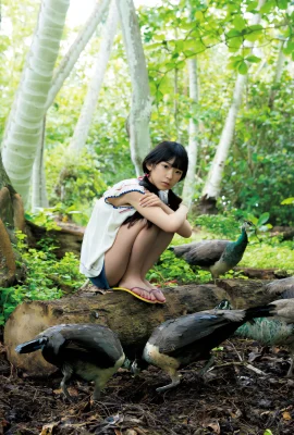 (Marina Nagasawa) Un petit cheval d’apparence avec un corps plein et rond et un corps plein (22 photos)