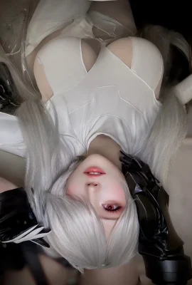 Shokora Cosplay Cendrillon
