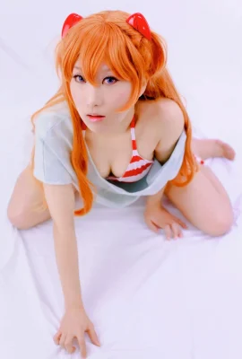 Ito-hen (violet (yukari)) asu ★ tortue