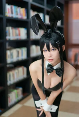 Blogger Anime Loves Teacher_Phd – Bunny Girl Senior Sister (8 photos)
